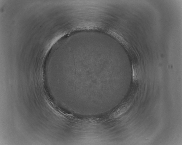 X0000071960627200607141435