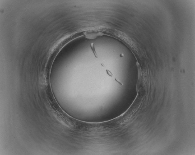 X0000071960628200607141435