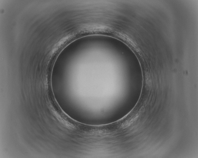 X0000071960629200607141435