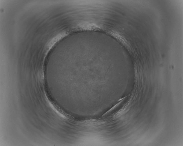 X0000071960630200607141435