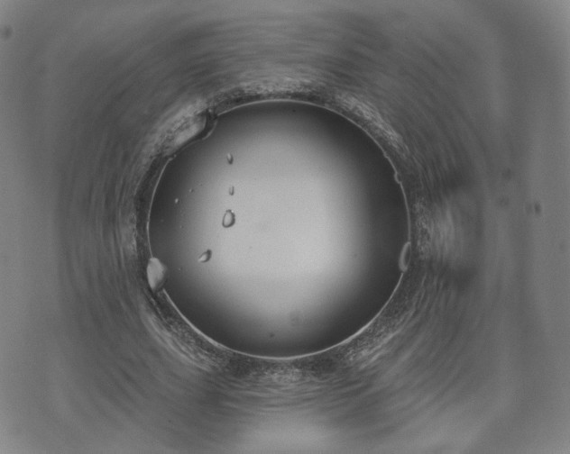 X0000071960631200607141435