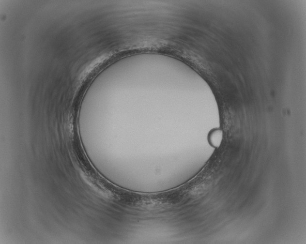 X0000071960632200607141435