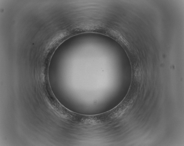 X0000071960635200607141435