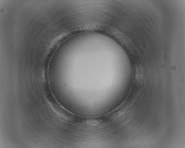 X0000071960636200607141435