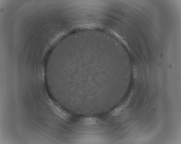 X0000071960637200607141435