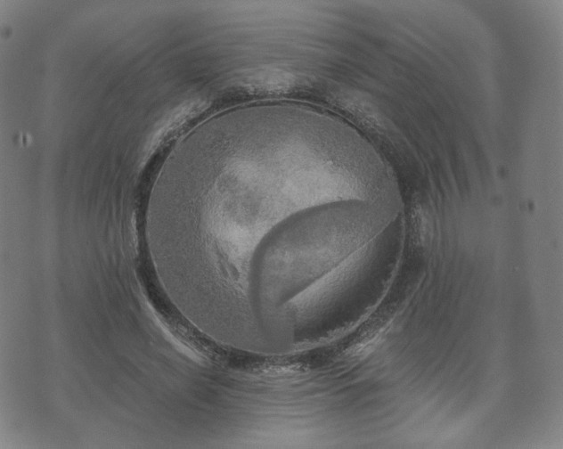 X0000071960638200607141435