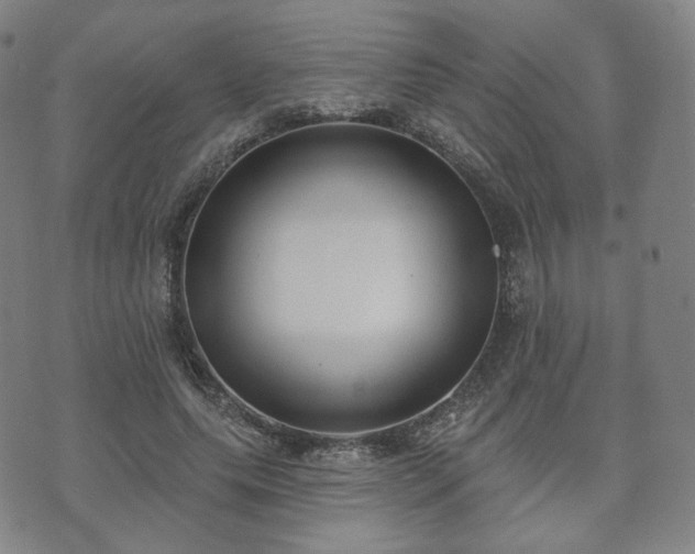 X0000071960639200607141435