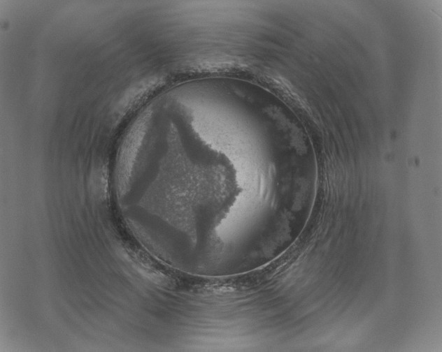 X0000071960640200607141435