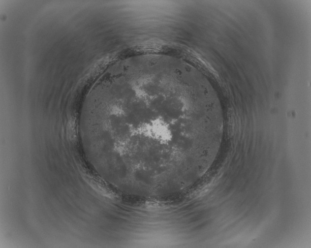 X0000071960641200607141435