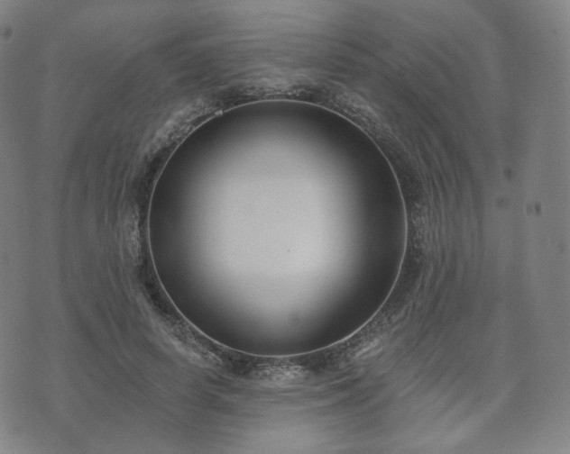 X0000071960642200607141435