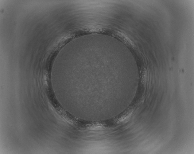 X0000071960643200607141435