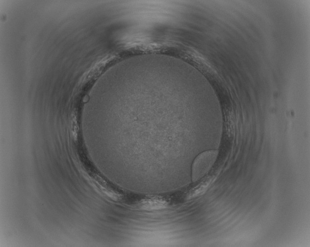 X0000071960644200607141435