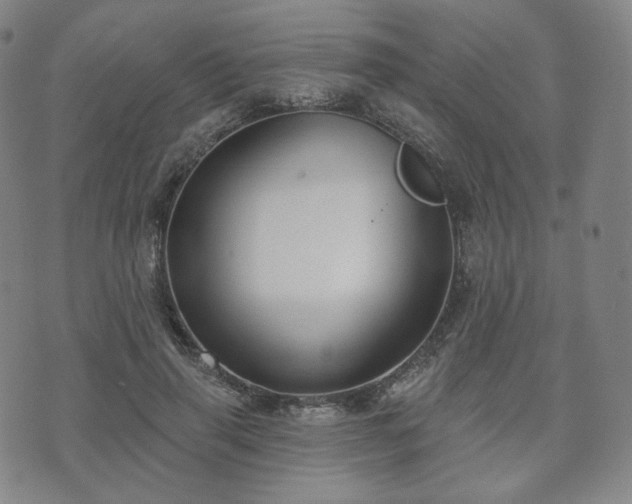 X0000071960645200607141435