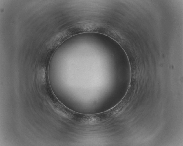 X0000071960646200607141435