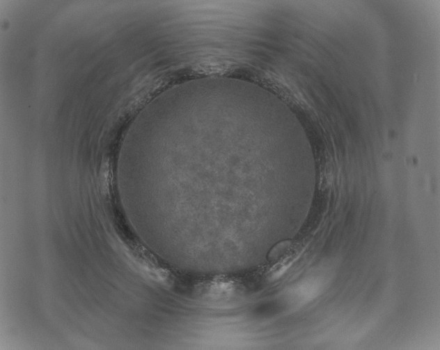 X0000071960647200607141435