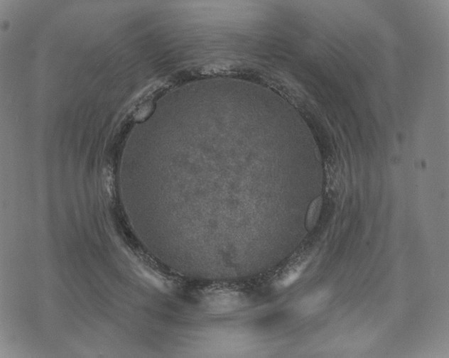 X0000071960648200607141435