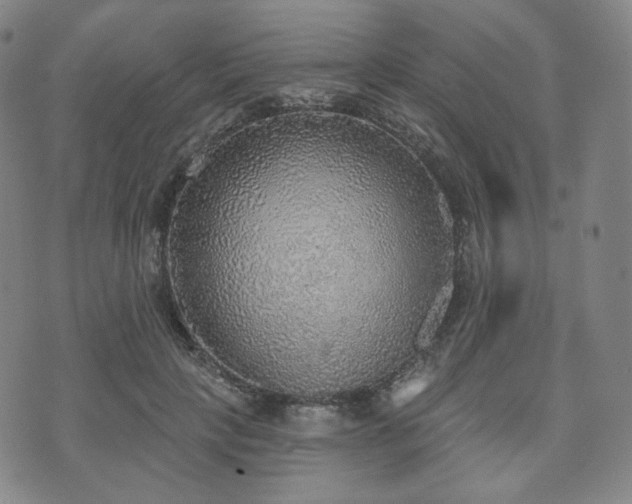 X0000071960649200607141435