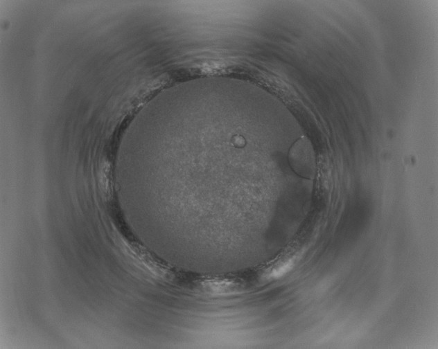 X0000071960650200607141435