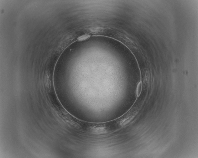 X0000071960651200607141435