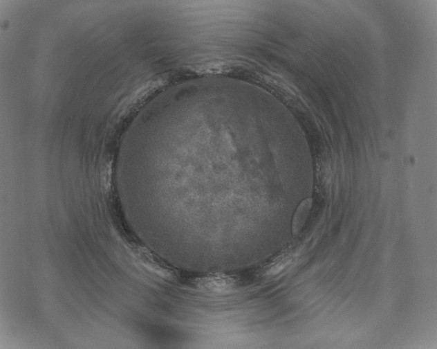 X0000071960652200607141435