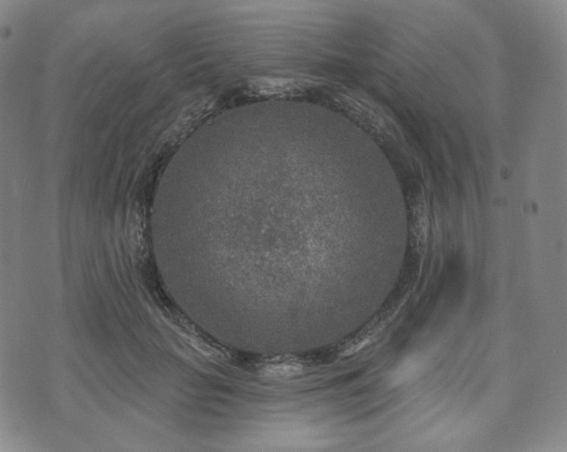 X0000071960653200607141435