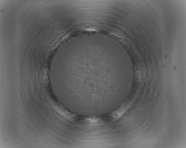 X0000071960654200607141435