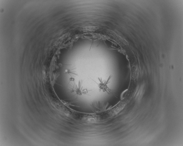 X0000071960655200607141435