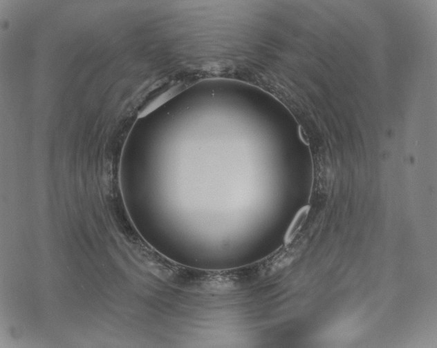 X0000071960656200607141435