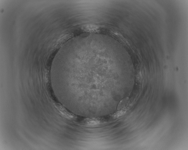 X0000071960658200607141436