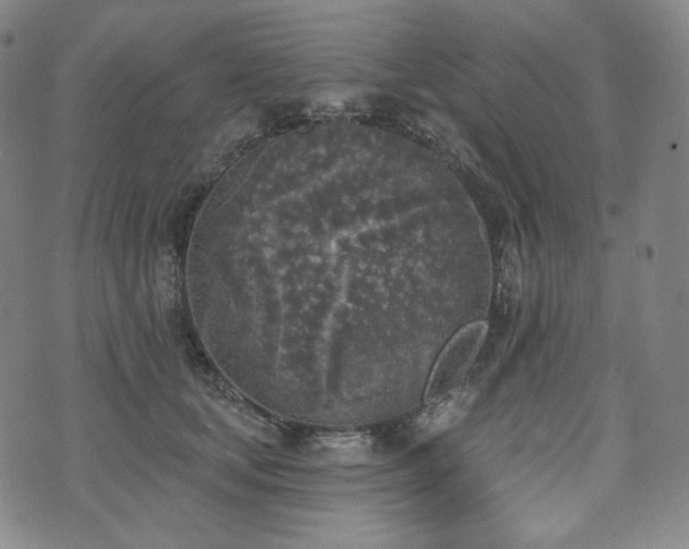 X0000071960659200607141436