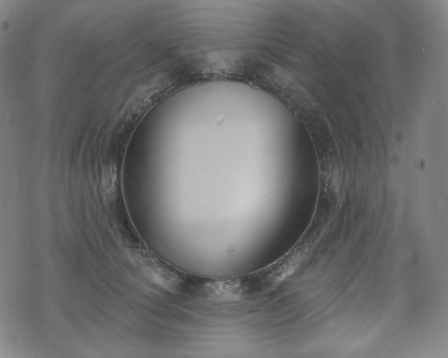 X0000071960660200607141436