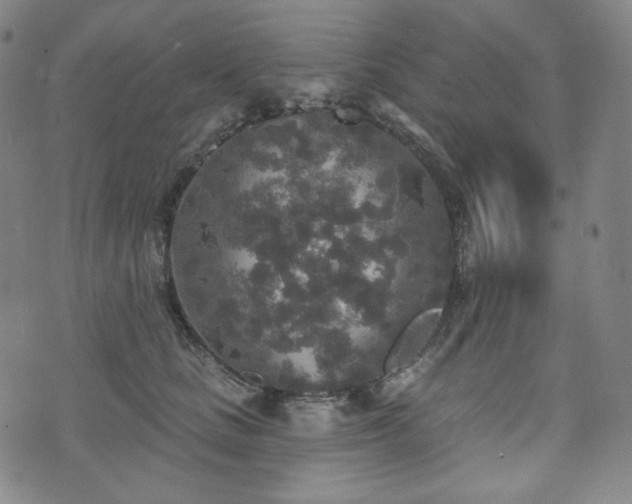 X0000071960661200607141436