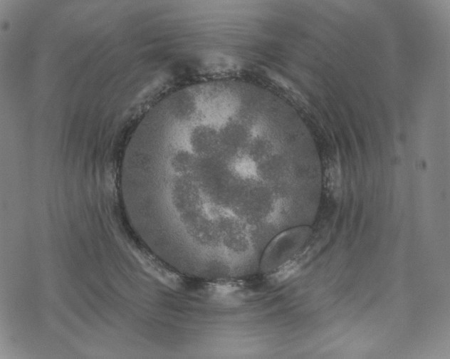 X0000071960662200607141436