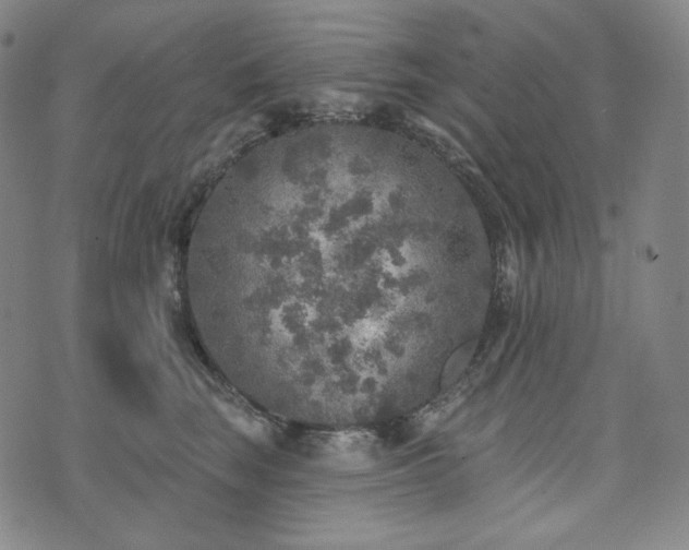 X0000071960663200607141436