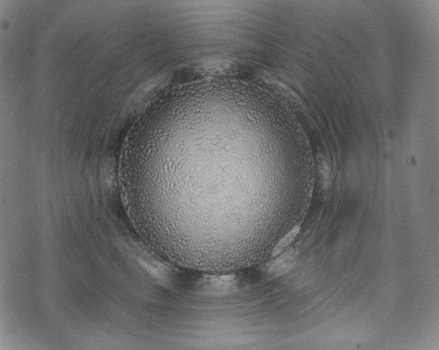 X0000071960665200607141436