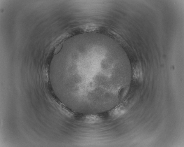 X0000071960666200607141436