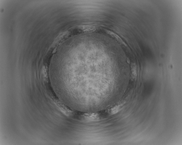 X0000071960667200607141436