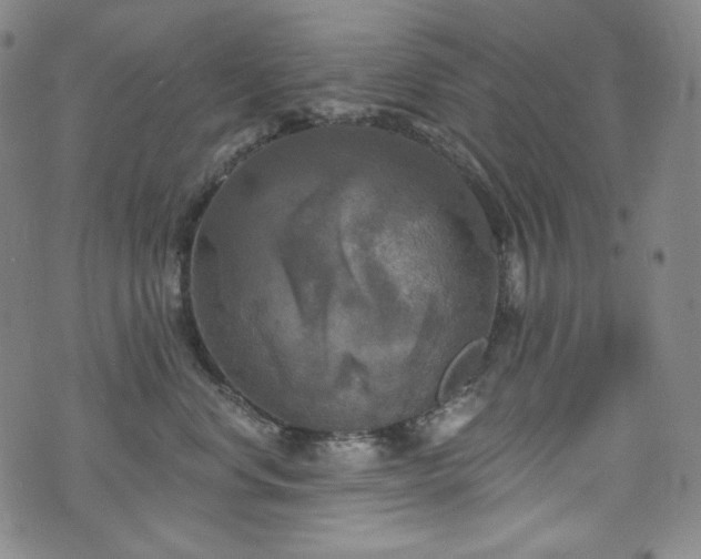 X0000071960668200607141436