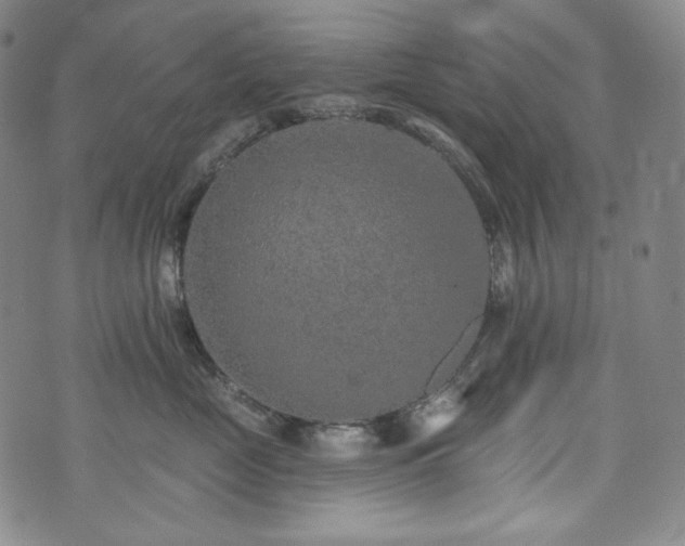 X0000071960669200607141436