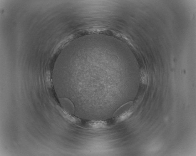 X0000071960670200607141436