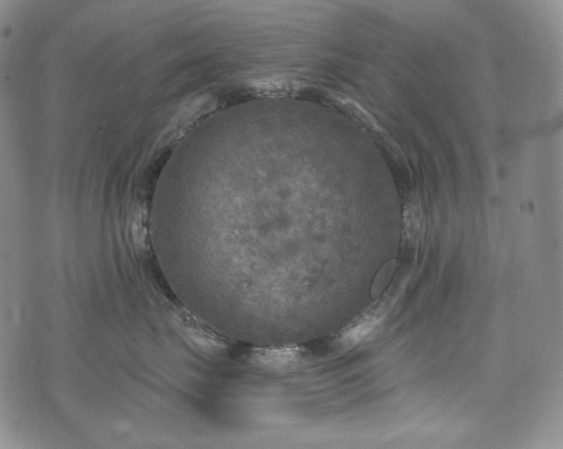 X0000071960671200607141436