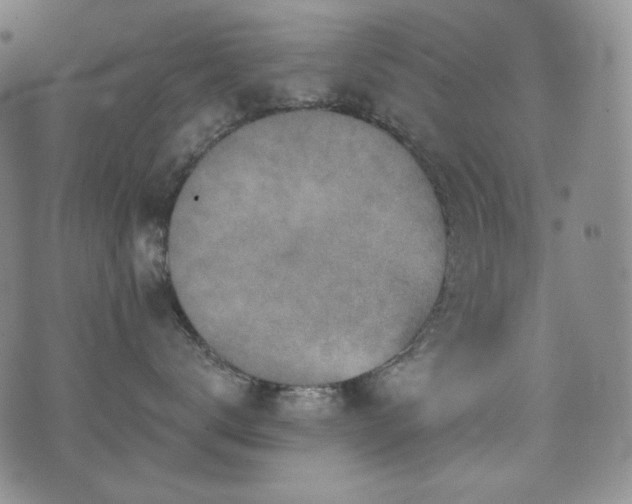 X0000071960672200607141436