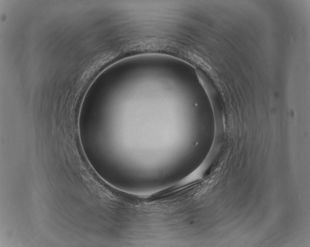 X0000071960673200607141435