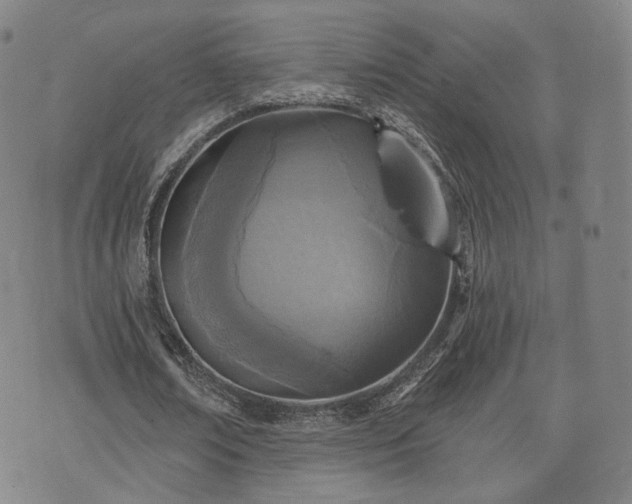 X0000071960674200607141435