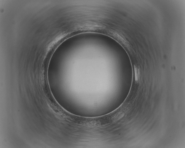 X0000071960675200607141435