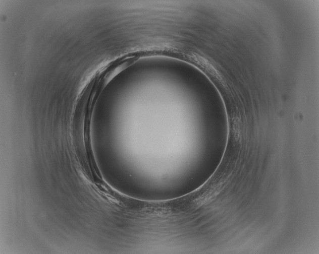 X0000071960676200607141435