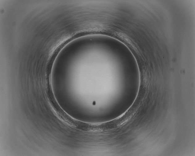 X0000071960677200607141435