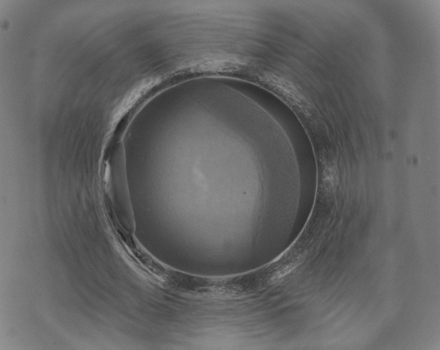 X0000071960678200607141435