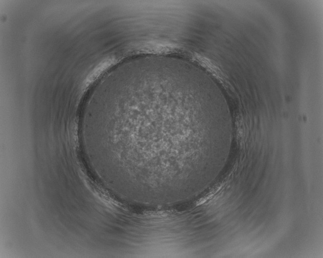 X0000071960679200607141435