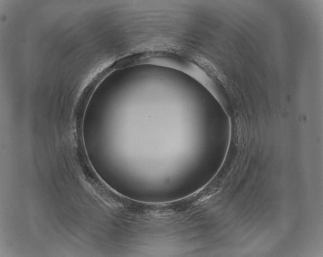 X0000071960680200607141435